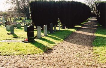 The line of yews along the footpath in the Shelford Road cemetery. Photo: Andrew Roberts, 26 January 2008.