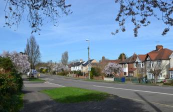 Spring blossom on Shelford Road. Photo: Andrew Roberts, 13 March 2017.