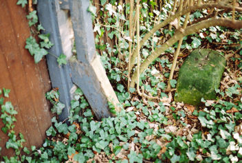 Milestone on the Stump Cross Turnpike Road: the first (fallen and damaged) stone on Trumpington Road. Photo: Andrew Roberts, January-February 2008.